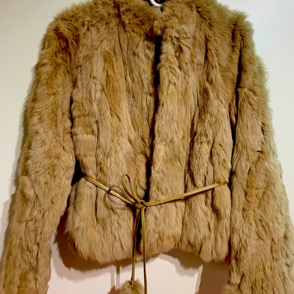 Jacket - Picture 2 of 3